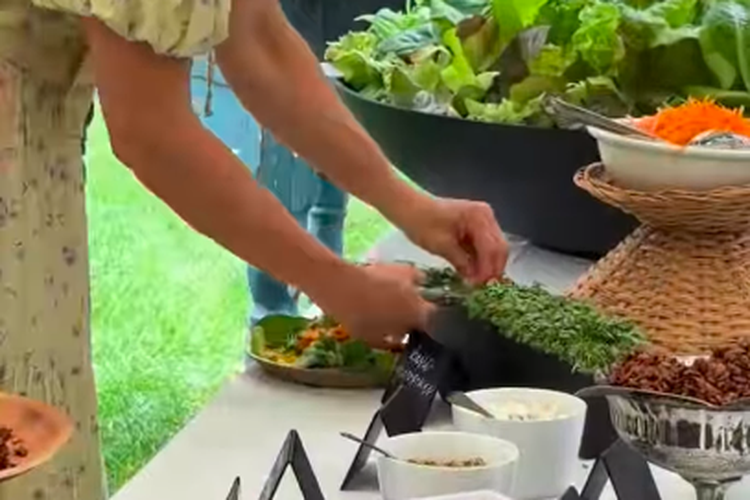 salad, salad bar, living salad bar, tren menikmati salad, Living Salad Bar, Tren Baru Menikmati Salad Segar Langsung dari Kebun