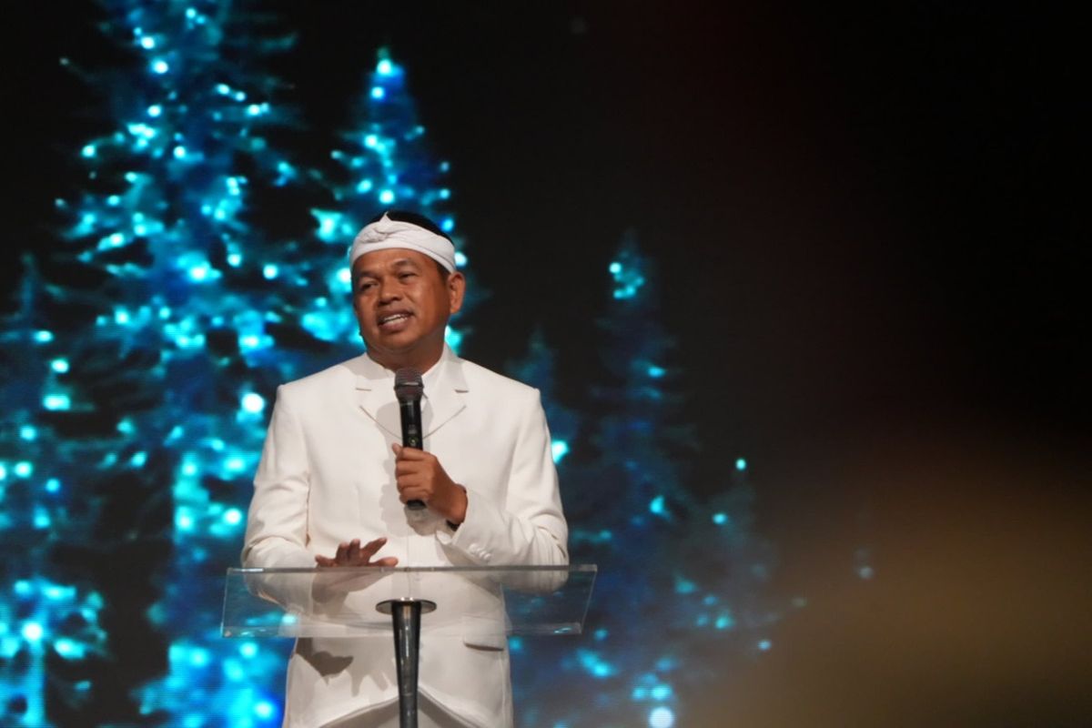 BUMD, Danantara, Dedi Mulyadi Siapkan Danantara Ala Jabar, Upaya Hentikan 