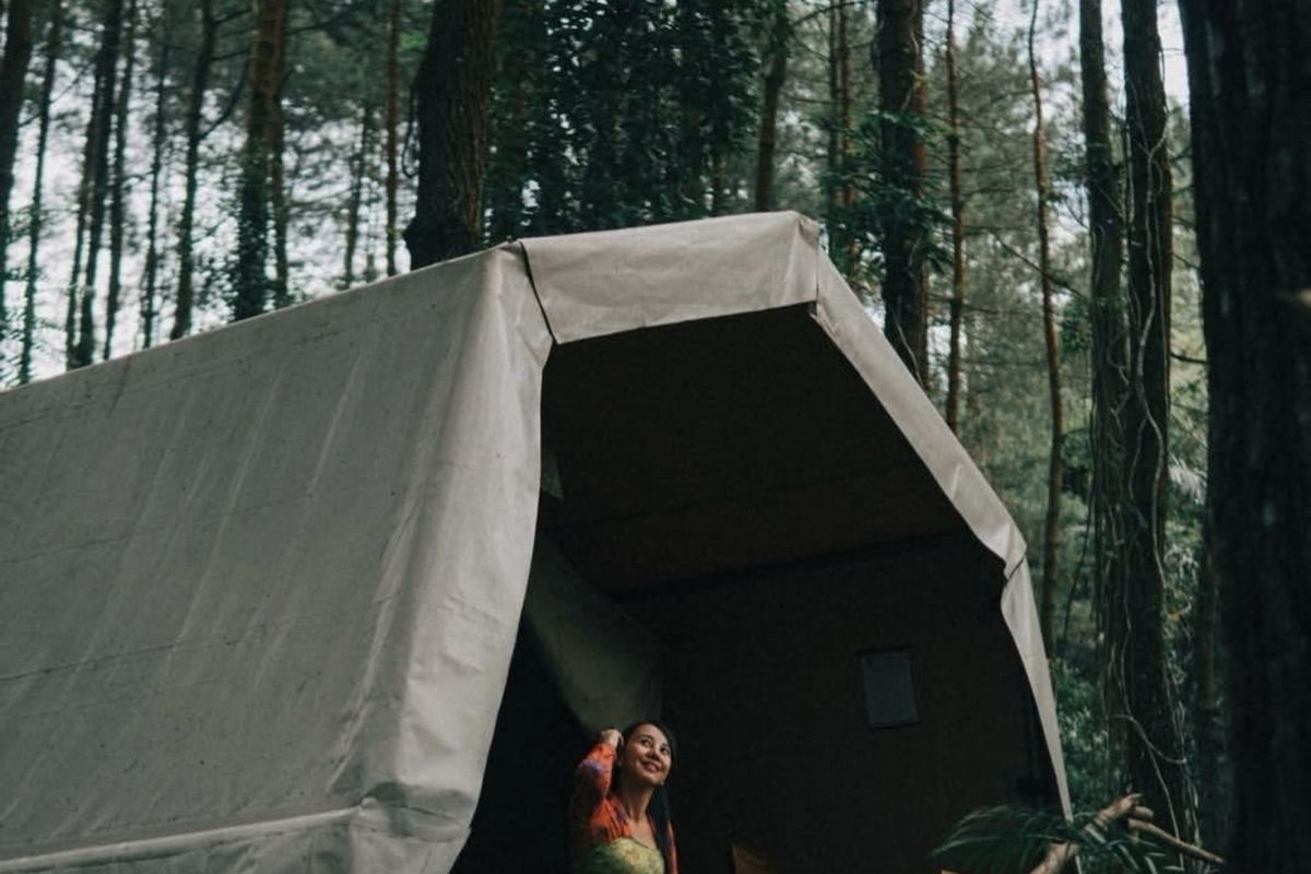 Purworejo, Destinasi wisata, Menginap di Tengah Hutan Pinus Menoreh, Cocok untuk Healing saat Long Weekend