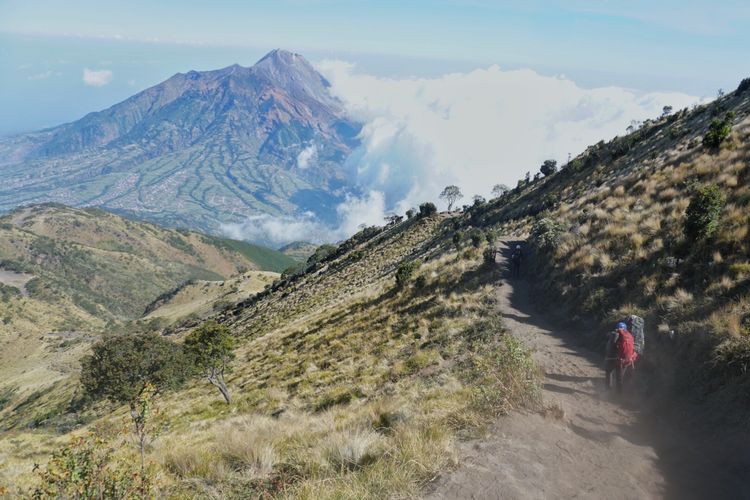 jalur Timboa, pendaki merbabu, alasan pendakian jalur timboa dilarang, pendakian merbabu dilarang lewat timboa, Alasan Pendaki Merbabu Dilarang lewat Jalur Timboa, dan Alternatifnya