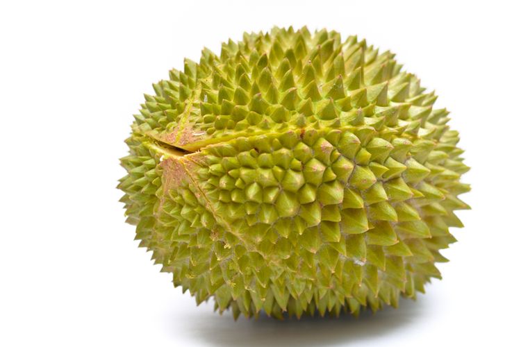 durian, Durian, durian buah nasional malaysia, durian buah nasional indonesia, Alasan Indonesia dan Malaysia Berebut Gelar Durian sebagai Buah Nasional