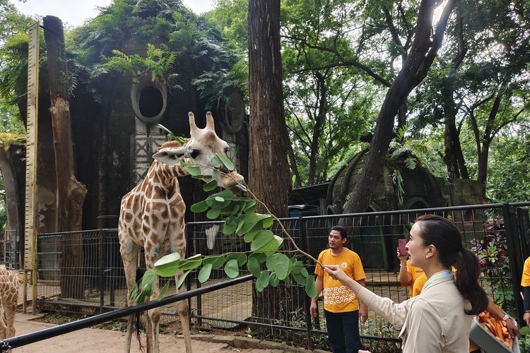 Tempat Wisata di Jakarta, libur lebaran 2025, tempat wisata di jakarta yang buka saat lebaran, apakah ancol buka saat lebaran, wisata lebaran di jakarta, tempat wisata libur lebaran di jakarta, 7 Tempat Wisata di Jakarta yang Tetap Buka Saat Lebaran 2025, 1. Ancol, 2. Taman Mini Indonesia Indah (TMII), 3. Taman Margasatwa Ragunan, 4. Monumen Nasional (Monas), 6. Kota Tua, 7. KidZania Jakarta