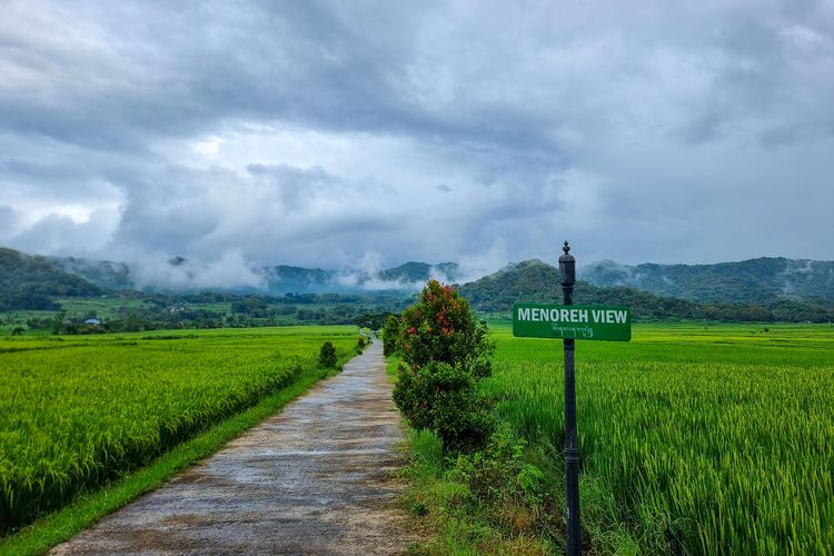 Rute ke Wisata Persawahan Yogya yang Dikunjungi The Dudas, Sekitar 1 Jam dari Tugu Jogja