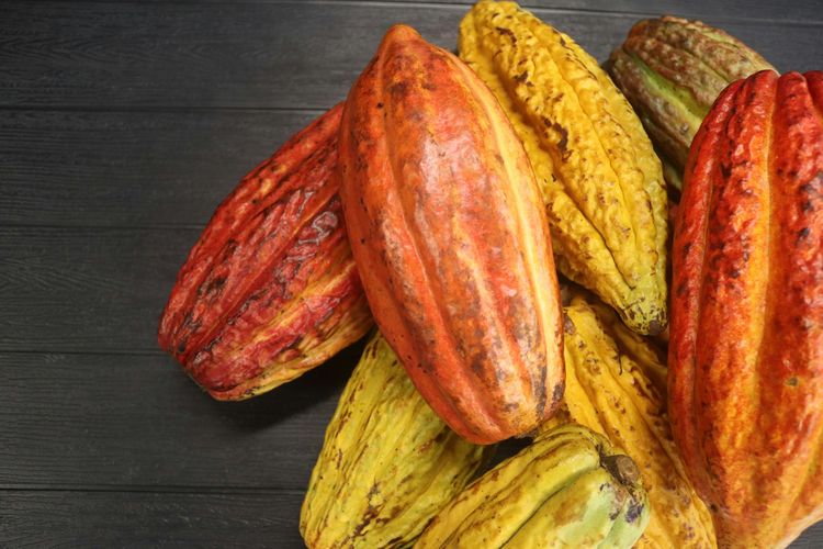 7 Makanan Penurun Kolesterol yang Cocok Dikonsumsi Setelah Makan Daging, Kacang-kacangan, Ikan berlemak, Biji-bijian, Biji-bijian utuh, Buah-buahan dan beri, Cokelat hitam dan kakao