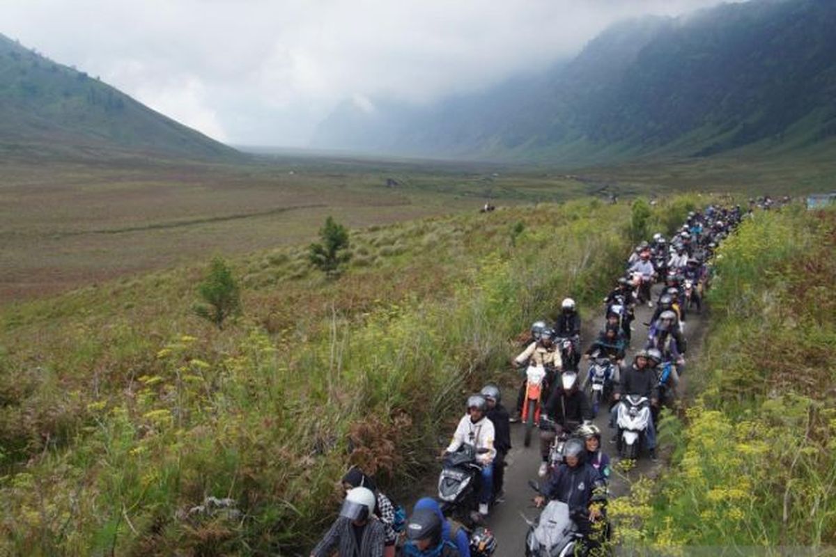 gunung bromo, Bromo, jip bromo, Pulihkan Ekosistem Endemik Bromo, Jalur Lingkar Kaldera Tengger akan Ditata