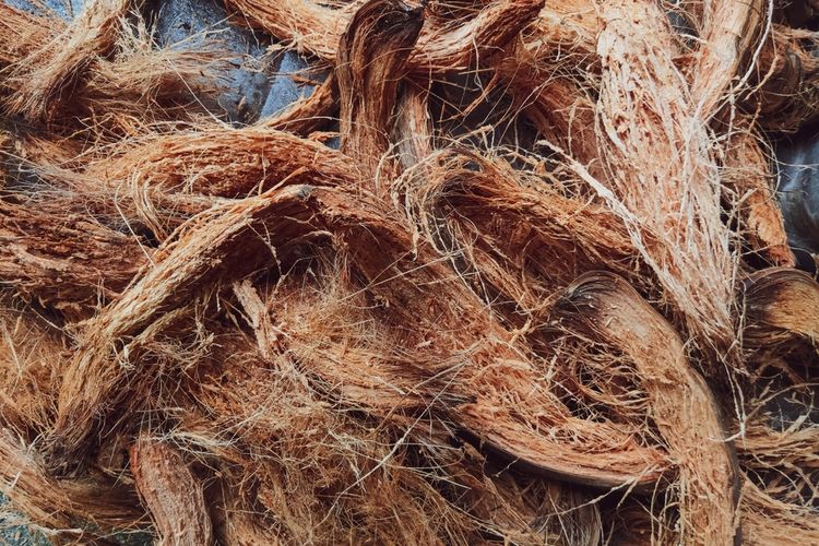 jenis kelapa untuk santan, cara memilih kelapa untuk santan, pilih kelapa untuk santan, cara pilih kelapa untuk santan, kelapa untuk santan tua atau muda, 7 Tips Pilih Kelapa untuk Santan, Lihat Teksturnya, 1. Pilih kelapa sesuai kebutuhan, 2. Perhatikan suara, 3. Perhatikan tekstur, 4. Cek kondisi serabut, 5. Lihat tekstur daging kelapa, 6. Pilih kelapa parut yang bersih, 7. Cara mengatur kekentalan santan