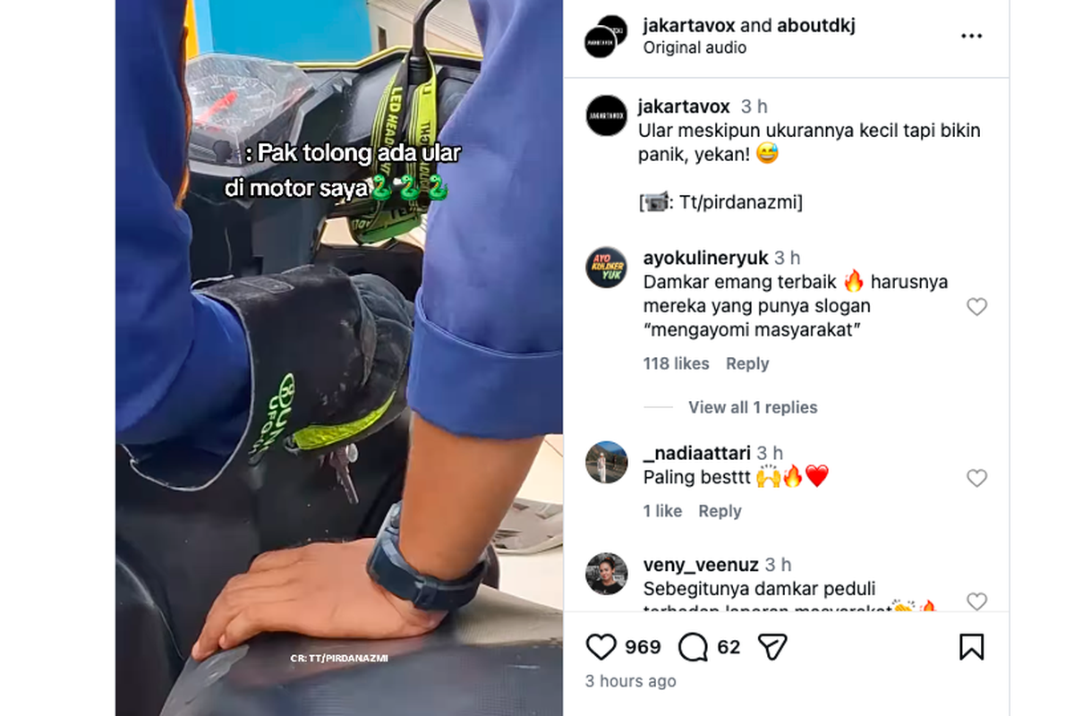 ular, sepeda motor, matik, Video Ular Sembunyi di Motor, Kenapa Ular Suka Masuk ke Kendaraan?