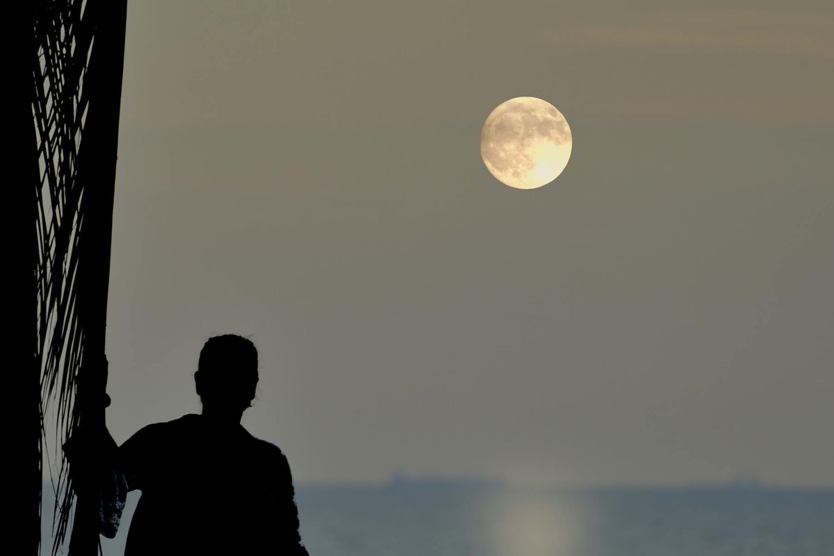 BMKG, Harvest Moon, Supermoon, Bulan purnama, Fenomena langit, Fenomena Langka di Langit Malam 7 Oktober 2025, Ada Supermoon dan Harvest Moon