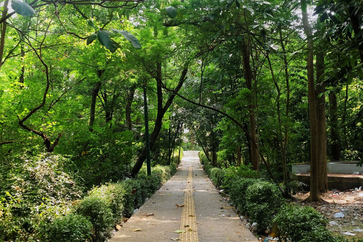 Hutan Kota Srengseng, Hutan Kota di Jakarta Barat, hutan kota srengseng jakarta barat, hutan kota srengseng tutup jam berapa, hutan kota srengseng buka jam berapa, Lokasi, Jam Buka, dan Harga Tiket Hutan Kota Srengseng, Wisata Hutan di Jakarta Barat
