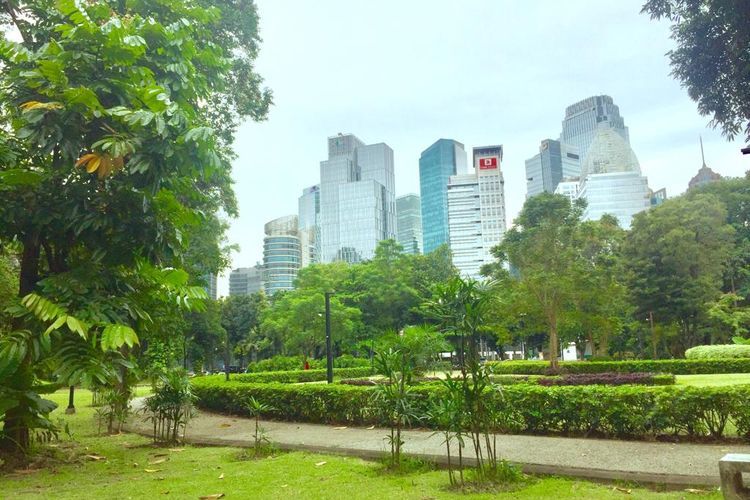5 Spot Piknik Gratis di Jakarta, Cocok untuk Healing dari Penatnya Rutinitas, 1. Taman Cattleya, 2. One Satrio, 3. Secret Garden Astha District 8, 4. Hutan Kota Gelora Bung Karno, 5. Tebet Eco Park