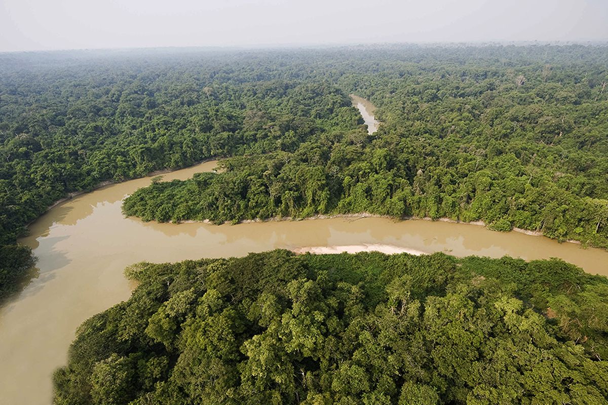 Hutan Amazon, Hutan amazon diserbu rating bintang 1, Netizen Indonesia beri rating bintang 1 ke Hutan amazon, Hutan amazon dapat rating bintang 1, Hutan Amazon Diserbu Rating Bintang 1 di Google Maps oleh Netizen Indonesia