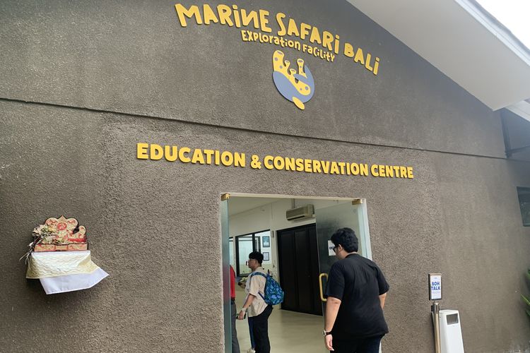 Marine Safari Bali, cara nonton lumba lumba di Marine Safari Bali, jumlah lumba lumba di Marine Safari Bali, jadwal atraksi lumba lumba di Marine Safari Bali, Lumba-lumba Marine Safari Bali, Berapa Umurnya?