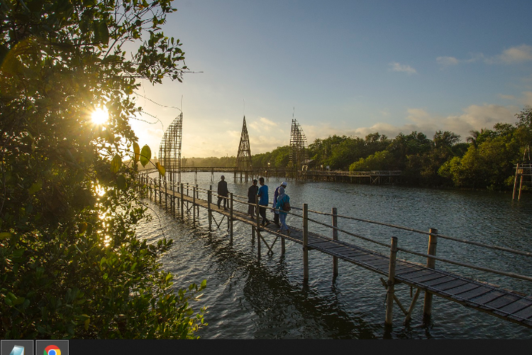 destinasi wisata, hutan mangrove, wisata mangrove, 5 Wisata Mangrove di Indonesia, Bisa Jalan di Jembatan Sambil Pesisir Laut, 1. Taman Wisata Alam Angke Kapuk , 2. Hutan Mangrove Karimunjawa    , 3. Hutan Mangrove Kulon Progo , 4. Hutan Mangrove Bedul, 5. Hutan Mangrove Tarakan