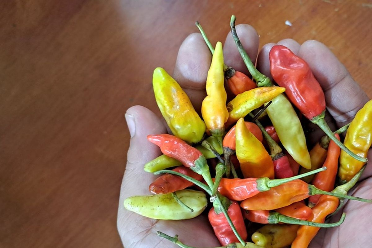 Harga pangan, harga pangan, harga pangan di bali, harga bahan pangan di bali, Harga Pangan di Bali 8 Juni 2025, Cabai Rawit Rp 27.429 per Kg, Beras Medium Tembus Rp 13.156