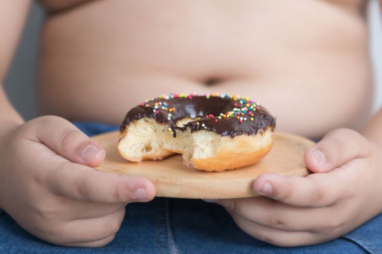 perut buncit, lemak visceral, perut buncit anak, anak perut buncit, penumpukan lemak viseral, bahayanya penumpukan lemak viseral pada anak, anak buncit, visceral fat pada anak, Waspada, Perut Buncit pada Anak Bisa Jadi Tanda Penumpukan Lemak Visceral, Apa itu lemak viseral atau visceral fat?, Pola makan jadi pemicu penumpukan lemak viseral, Waktu jeda makan dan camilan sering diabaikan, Risiko jangka panjang kelebihan lemak visceral