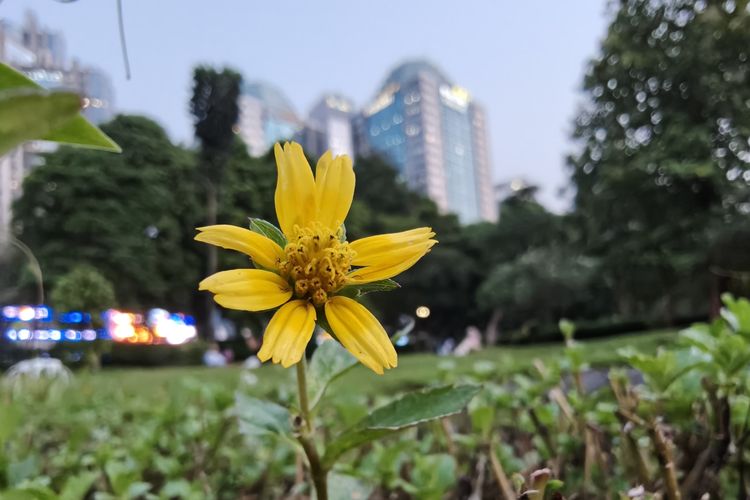 Oppo, kamera, Oppo Find X8 Pro, Kamera, oppo find x8 pro, Merekam Jakarta dengan Kamera Oppo Find X8 Pro, Andal di Berbagai Kondisi, Reproduksi warna natural, Zoom dengan detail tinggi, Kontras dan detail terjaga, Dynamic Range luas, Foto Portrait dengan bokeh halus, Foto malam minim noise