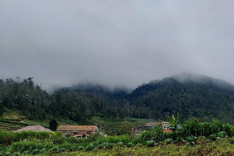 libur Lebaran 2025, libur lebaran 2025, gunung yang sudah buka pendakian, Gunung yang sudah buka, gunung slamet sudah buka atau belum, gunung gede sudah buka atau belum, gunung prau sudah buka atau belum, 6 Gunung yang Sudah Buka Pendakian usai Lebaran 2025, 1. Gunung Rinjani, 2. Gunung Merbabu, 3. Gunung Ciremai, 4. Gunung Prau, 5.  Gunung Argopuro, 6. Gunung Slamet