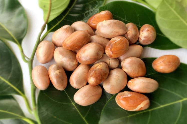 nangka, Getah nangka, getah nangka, cara membersihkan getah nangka, Cara Mudah Bersihkan Getah Nangka dalam 5 Menit