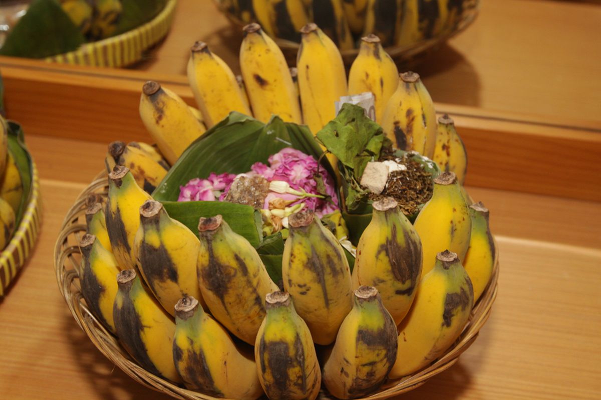 Pisang Raja, pisang terbaik di dunia, TasteAtlas, Pisang raja, pisang raja, tasteatlas, pisang raja masuk pisang terbaik di dunia, Pisang Raja Masuk Kategori Pisang Terbaik di Dunia versi TasteAtlas