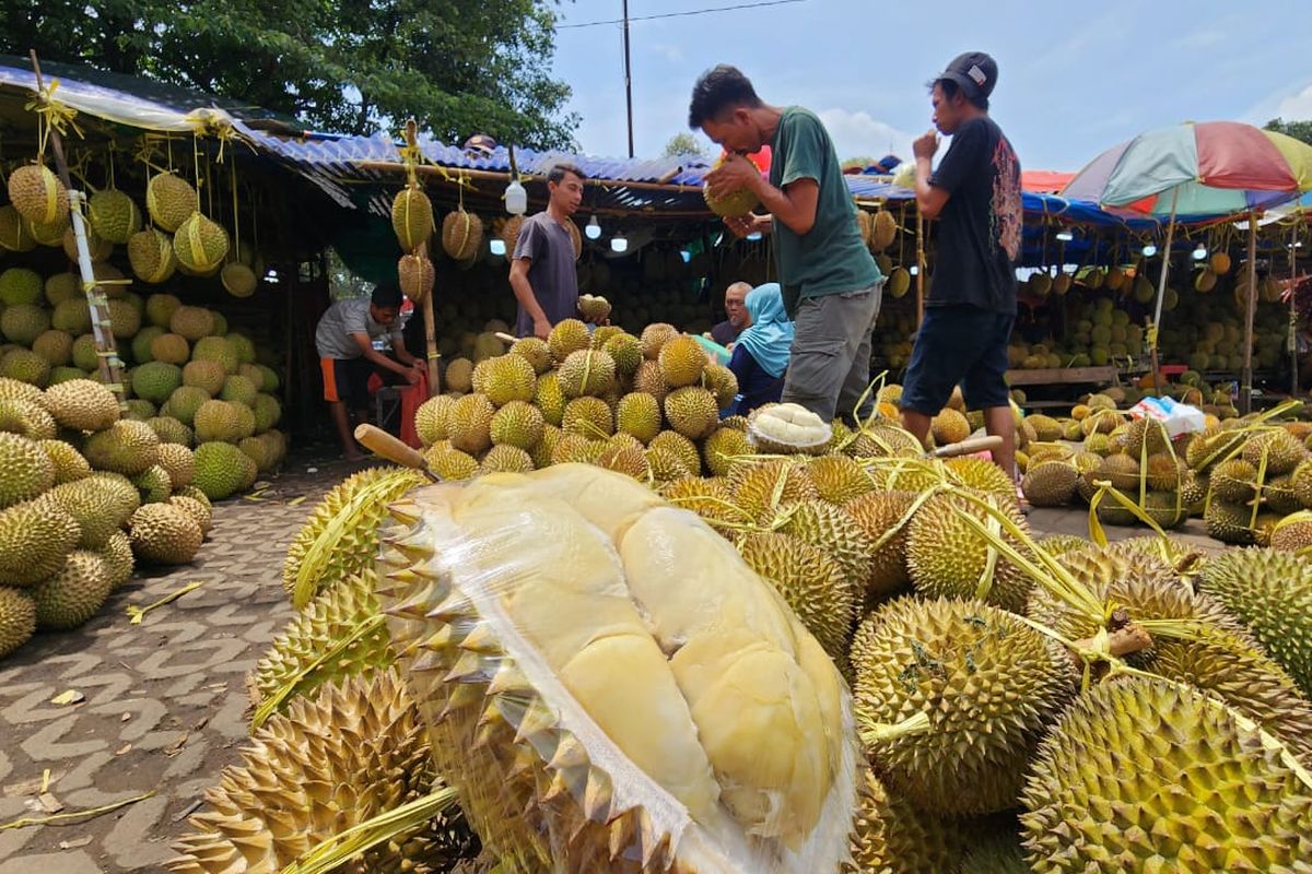 durian, Durian, tips durian, bawa durian ke pesawat, durian jadi oleh-oleh, Tips Bawa Oleh-oleh Durian Naik Pesawat, Langsung dari Owner Durian Ucok