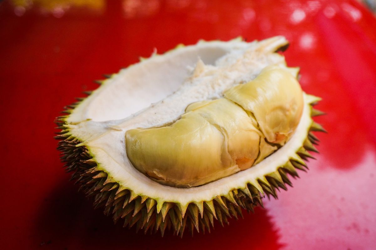 pria curi durian di singapura, pria curi jimat di singapura, Curi Durian di Toko, Pria di Singapura Ini Dipenjara