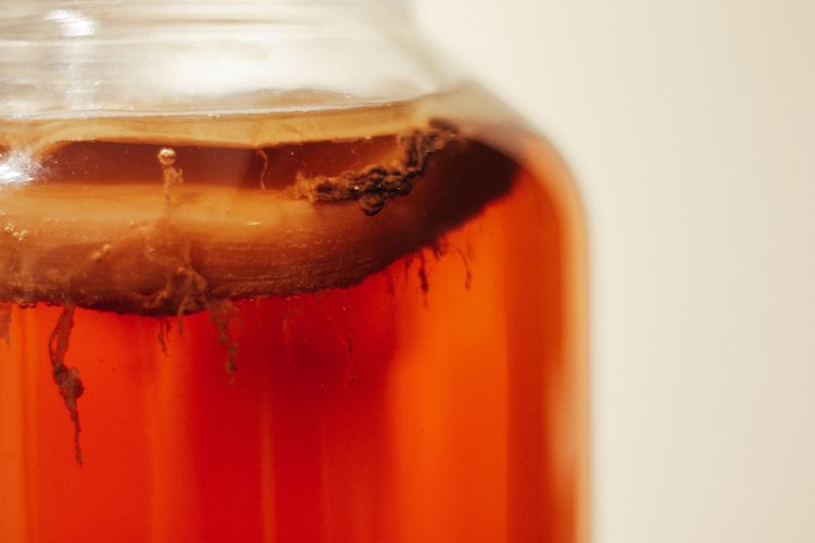 minuman sehat, Minuman Sehat, minuman enak rendah kalori, Minuman enak yang sehat, minuman enak dan sehat, 8 Minuman Sehat dan Lezat yang Direkomendasikan Ahli Gizi, 1. Jus murni tanpa tambahan, 3. Air kelapa tanpa gula, 4. Soda prebiotik, 5. Kefir, 7. Smoothie, 8. Kombucha