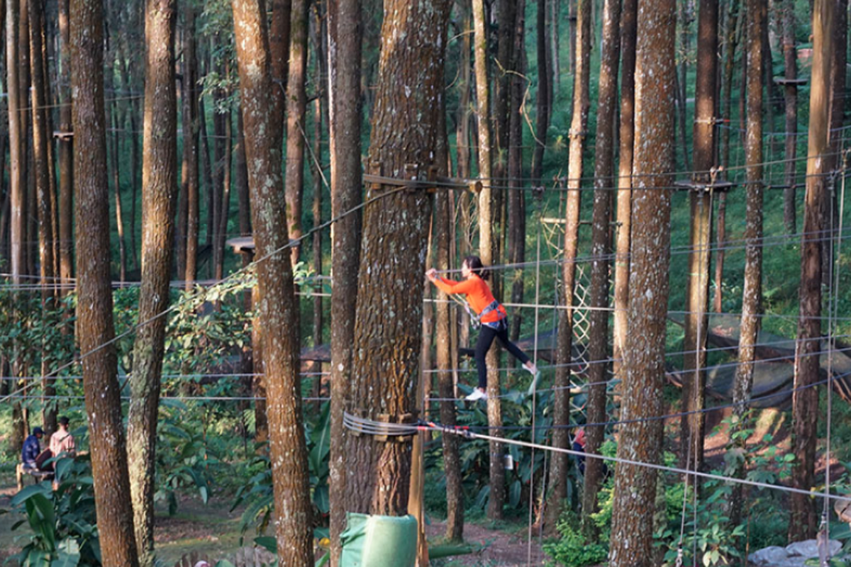 Salatiga, Sehari Keliling Salatiga, Menikmati Sop Legendaris sampai Hutan Pinus yang Sejuk, 1. Pasar Raya Salatiga, 2. Es Kesambi, 3. Wisata Alam di Kopeng Tree Top, 4. Sate Sapi Suruh
