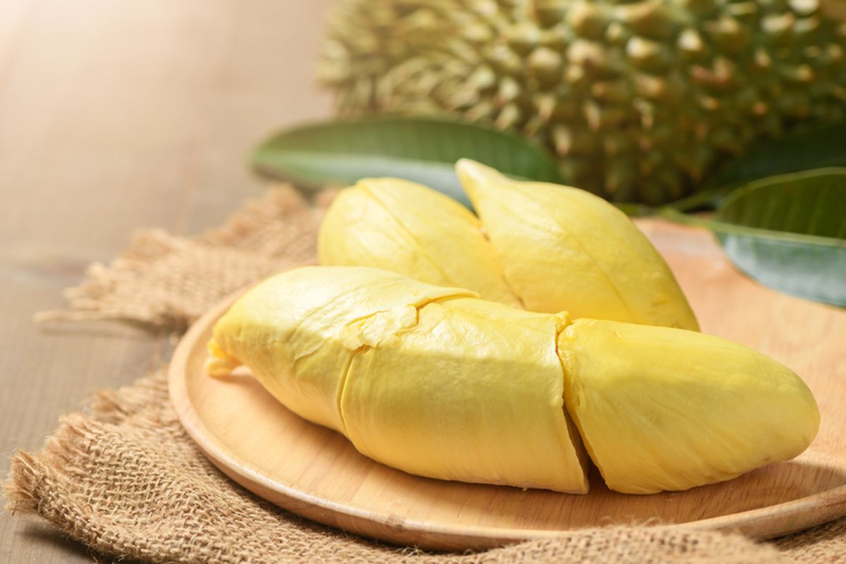 durian, Cara Memilih Durian yang Manis dan Berdaging Tebal, Cek Tangkai dan Duri, 1. Cium aromanya, 2. Pilih yang bulat, 3. Tangkai yang tidak rata, 4. Ringan biasanya memiliki isi lebih banyak , 5. Bagian bawah tidak terbuka, 6. Perhatikan suara saat dipukul, 7. Cek kondisi kulit dan duri, 8. Goncangkan buah, 9. Tangkai tebal dan pendek