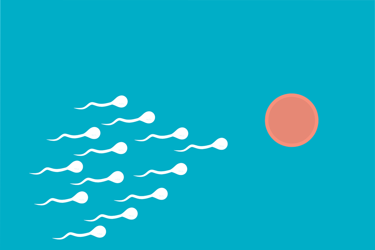 Pembekuan sel telur, egg freezing, Egg freezing, Luna Maya, bayi tabung, Luna Maya egg freezing, egg freezing adalah, pembekuan sel telur, prosedur egg freezing, membekukan sel telur, Begini Prosedur Egg Freezing seperti yang Dilakukan Luna Maya