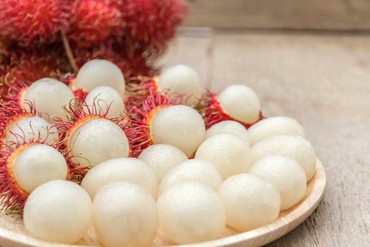 Buah rambutan, cara simpan rambutan agar tahan lama, cara simpan rambutan, buah musiman tropis, 5 Trik Simpan Rambutan agar Kesegarannya Tahan Seminggu, Tak Mudah Berair, 1. Simpan di Kulkas, 2. Hindari Sering Buka-Tutup Kulkas, 3. Jangan Dibiarkan di Suhu Ruangan Terlalu Lama, 4. Biarkan Kulit Rambutan Tetap Utuh, 5. Pilih Rambutan yang Segar Sejak Awal