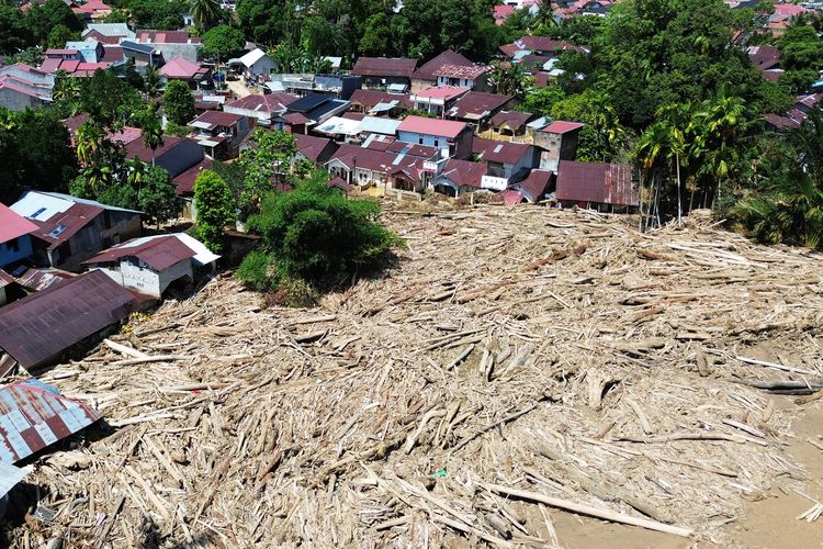 kayu gelondongan, Sumatera, banjir Sumatera, banjir sumbar, banjir aceh, Banjir Sumut, banjir sumatera, kayu gelondongan banjir sumatera, BERITA FOTO: Jejak Kayu Gelondongan yang Terbawa Arus Banjir Sumatera, Penjelasan Kemenhut soal kayu gelondongan, Areal hutan produksi, Pemanfaatan kayu gelondongan, Kerusakan masif pada ekosistem hulu, Pembukaan hutan secara masif