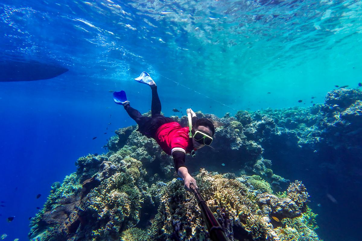 scuba diving, free diving, Free Diving, Scuba Diving, Beda scuba diving dan free diving, Scuba Diving vs Free Diving, Apa Bedanya?