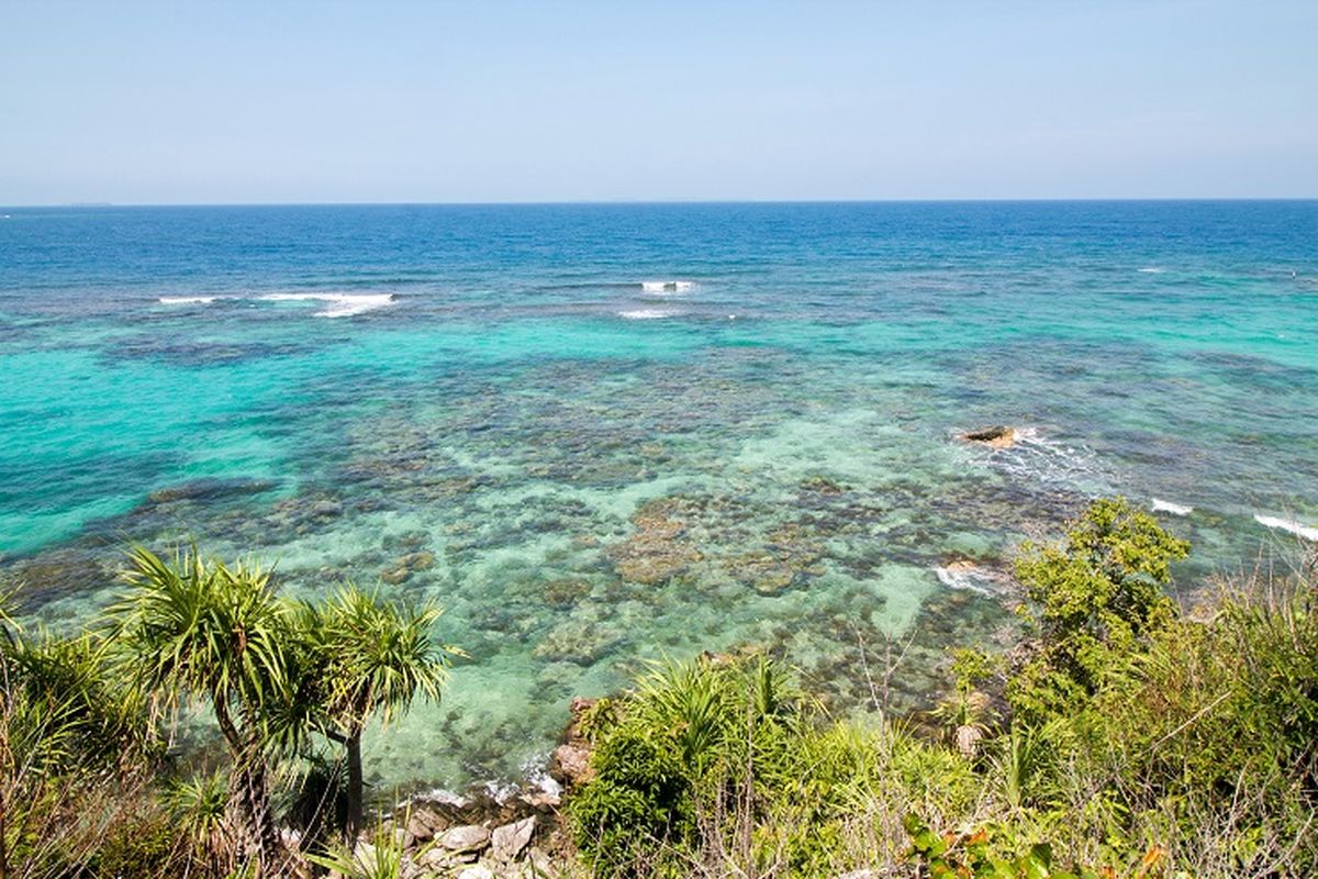 Penerbangan ke Karimunjawa, penerbangan ke Karimunjawa, wisata karimunjawa, penerbangan ke karimunjawa, rute udara Susi Air Karimunjawa, cara ke Karimunjawa tanpa kapal, jadwal pesawat ke Karimunjawa 2025, Karimunjawa 2025, wisata karimunjawa 2025, Jadwal dan Rute Penerbangan ke Karimunjawa Terbaru 2025