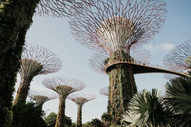 wisata di singapura, negara paling damai di Asia, wisata negara terdamai di Asia, tempat wisata negara terdamai di Asia, Singapura negara terdamai di Asia, 10 Destinasi Wisata di Negara Terdamai di Asia, Lokasinya Tak Jauh dari Indonesia!, Marina Bay, Gardens by the Bay, Singapore Botanic Gardens, Sentosa Island, Butterfly Park and Insect Kingdom, Helix Bridge, Universal Studios Singapore, Sri Mariamman Temple, Trick Eye Museum, Adventure Cove Waterpark