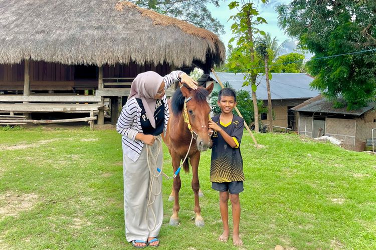 Wisata Sumba, sumba timur, Wisata Sumba Timur, tenun sumba, arti kuda di sumba, Setumpuk Kain Tenun, Kuda, dan Bukti Cinta di Tanah Sumba
