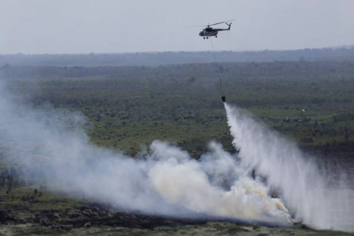 karhutla di Riau, Meski Musim Hujan, Karhutla Muncul di Riau, BMKG Deteksi 46 Titik Panas