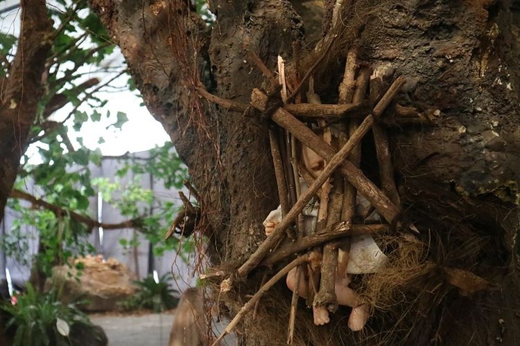 Sulawesi Selatan, Tana Toraja, Toraja, 7 Hal Seru yang Cuma Bisa Kamu Temukan di Tana Toraja, Negeri di Atas Awan