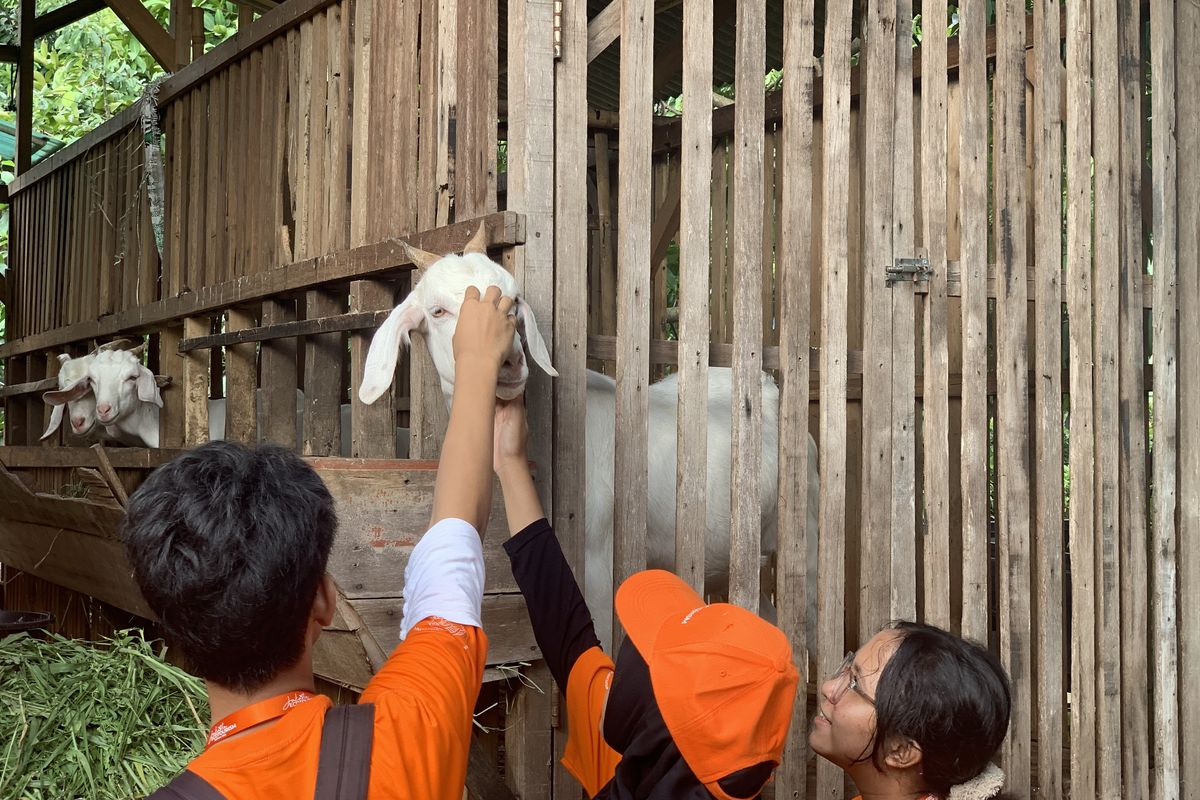 agroeduwisata ragunan, aktivitas di Agroeduwisata Ragunan, lokasi Agroeduwisata Ragunan, ada apa saja di Agroeduwisata Ragunan, apakah masuk Agroeduwisata Ragunan bayar, Lokasi, Aktivitas, dan Cara Berkunjung ke Agroeduwisata Ragunan