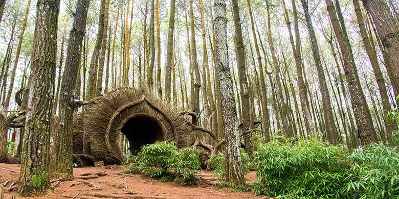 Yogyakarta, wisata alam, 7 Wisata Alam Yogyakarta yang Suguhkan Aktivitas Menarik