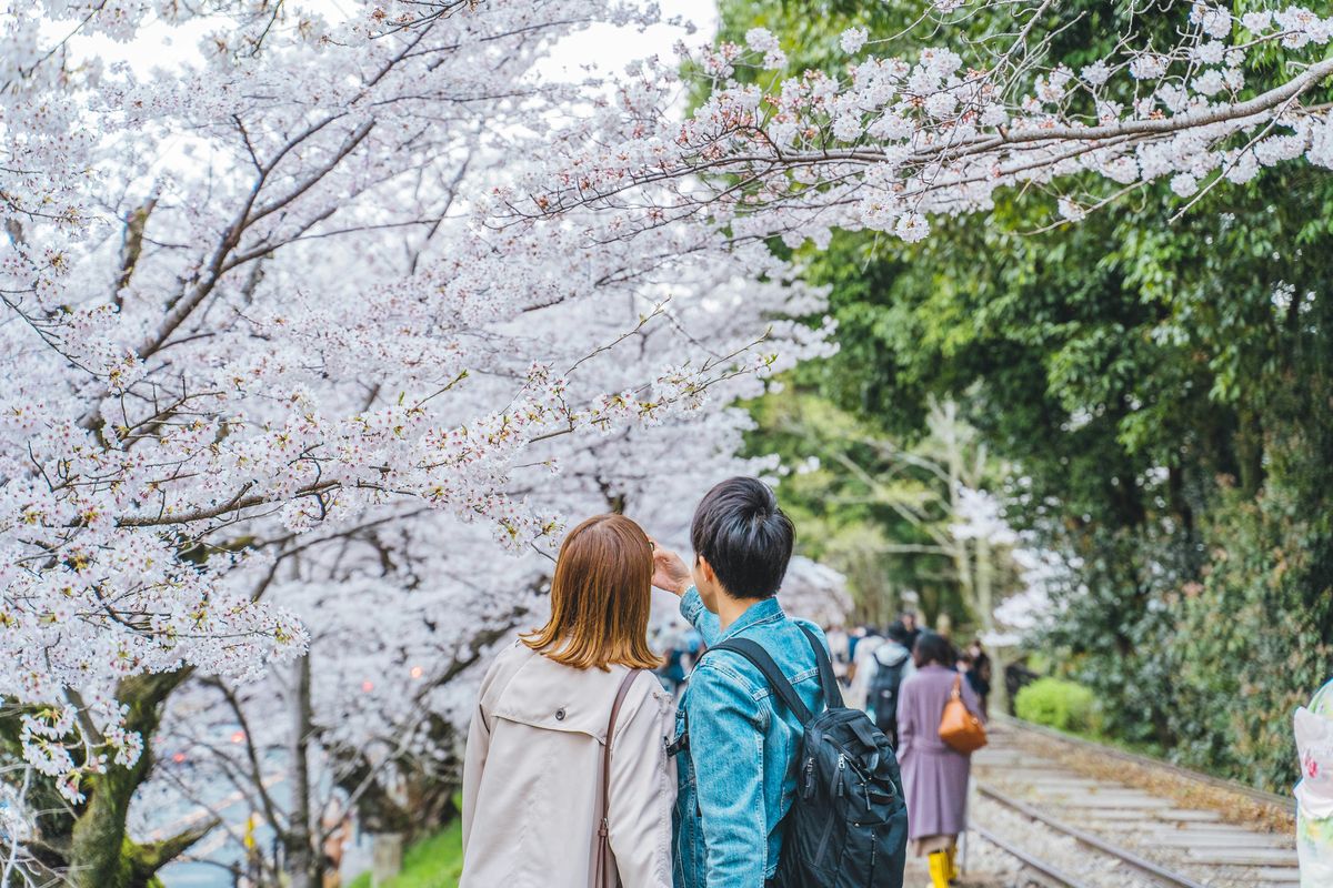 Biaya paspor, paspor Jepang, Ini Strategi Jepang agar Warganya Punya Paspor dan Rajin ke Luar Negeri