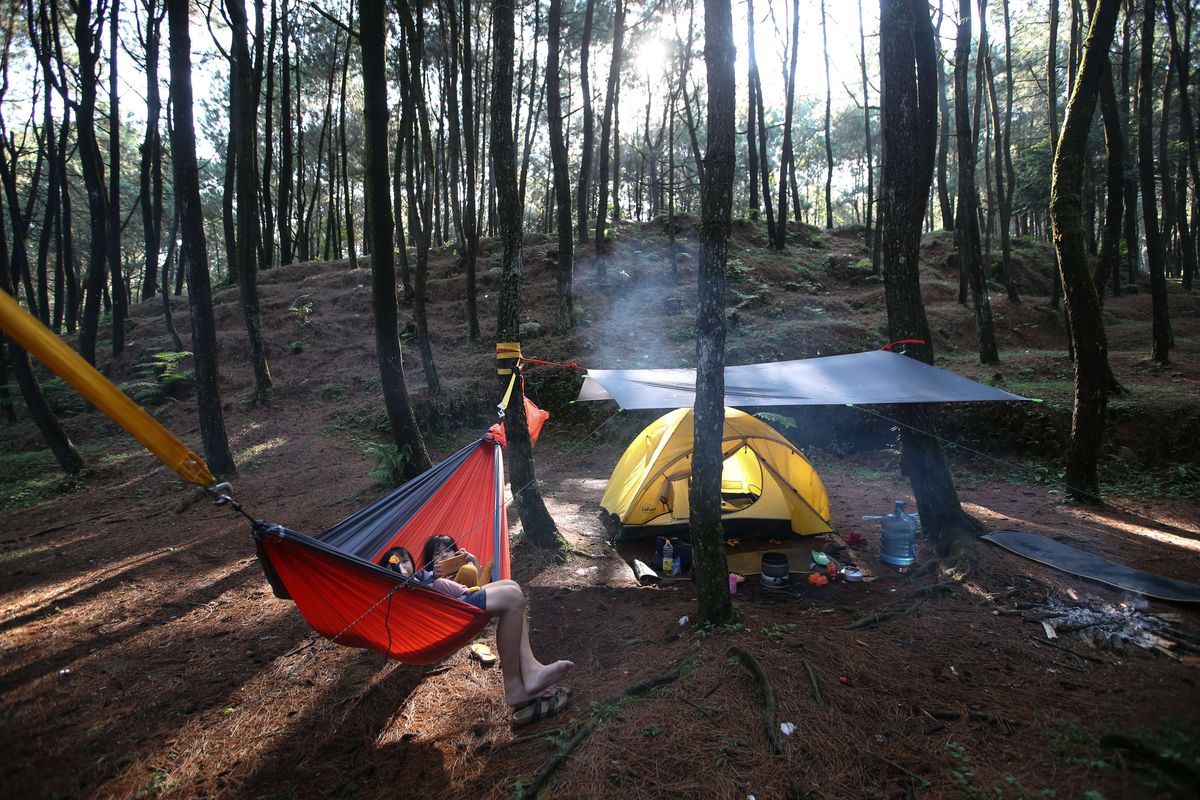 Gunung Salak, tiket Gunung Salak turun, Tarif Masuk TN Halimun Salak Turun 50 Persen, Jadi Segini Harganya