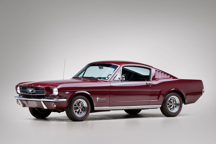 Mustang, mobil, Ford, Asal-usul Nama Ford Mustang, Benarkah dari Kuda Liar?