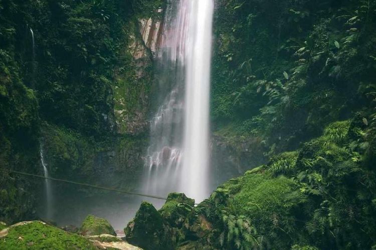 alam, keluarga, 7 Tempat Wisata di Bogor: Piknik di Kebun Raya, Trekking Curug hingga Camping, 1. Kebun Raya Bogor, 2. Taman Budaya Sentul City, 3. The Farm Pancawati Bogor, 4. Taman Wisata Matahari, 5. Curug Cilember, 6. Kebun Raya Cibodas, 7. Curug Seribu