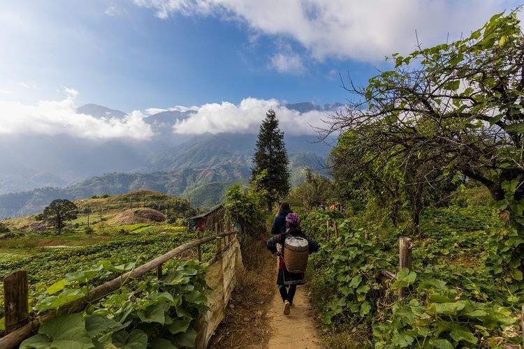 Vietnam, Sapa, Liburan ke Swiss-nya Asia di Vietnam, Tak Perlu Jauh-jauh ke Eropa