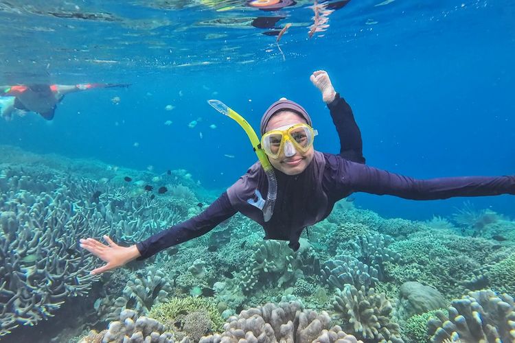 biaya snorkeling di bunaken, harga snorkeling di bunaken, snorkeling bunaken, grand luley manado prices, grand luley manado, Mau Snorkeling di Bunaken? Segini Bujetnya