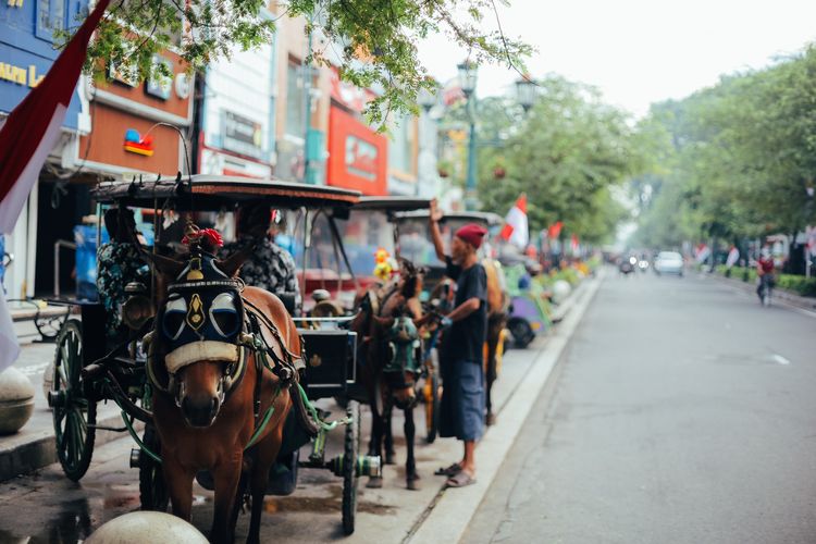 Wisata Yogyakarta, Wisata Jogja, wisata malioboro, malioboro bau pesing, bau pesing malioboro, penyebab malioboro bau pesing, Malioboro Disebut Bau Pesing, Pemkot Yogyakarta Semprotkan Air Parfum
