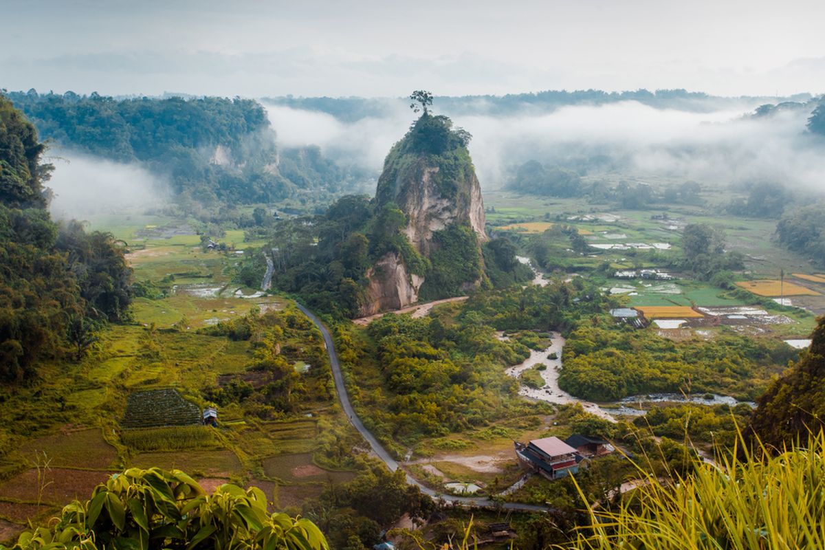 Ngarai Sianok, PVMBG, Badan Geologi ESDM, ngarai sianok bukittinggi, Tanah Ngarai Sianok Rentan Bergerak, Warga Dievakuasi, PVMBG Ungkap Kondisi yang Mengkhawatirkan