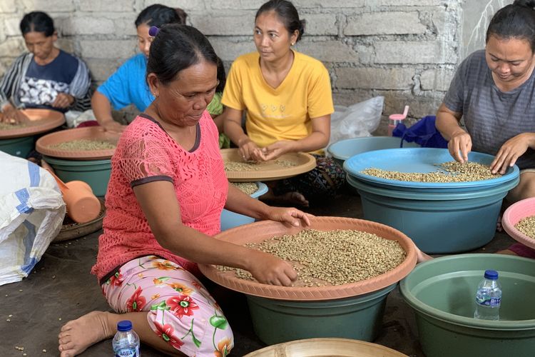 kopi kintamani bali, kopi arabika di kopi kenangan, kopi kenangan targetkan pertanian berkelanjutan, Hari Kopi Sedunia, Kopi Kenangan Targetkan Pertanian Berkelanjutan di Bali