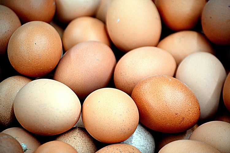 cara membuat telur dadar padang, cara membuat telur dadar, cara membuat telur dadar tebal tepung, telur dadar tanpa tepung, Tips Bikin Telur Dadar Tebal Tak Perlu Tambah Tepung, Pakai Bahan Ini