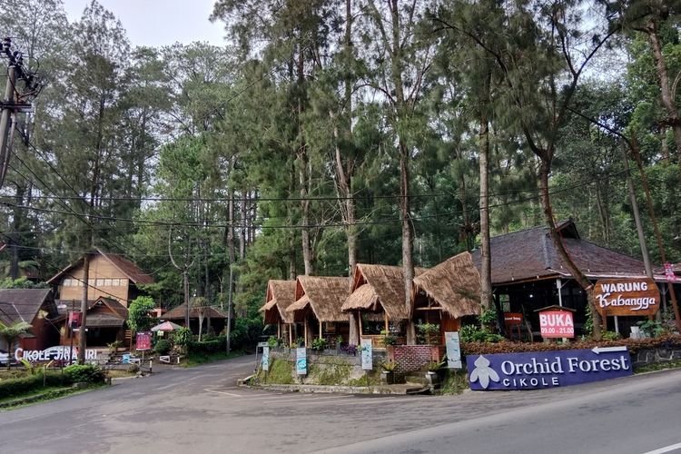 5 Rekomendasi Outbound di Bandung untuk Liburan Akhir Pekan, 1. Orchid Forest Cikole, 2. Zone 235, 3. Cantigi Camp, 4. We Playground Dusun Bambu, 5. Grafika Cikole